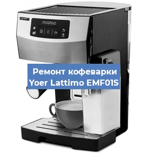 Замена прокладок на кофемашине Yoer Lattimo EMF01S в Ростове-на-Дону